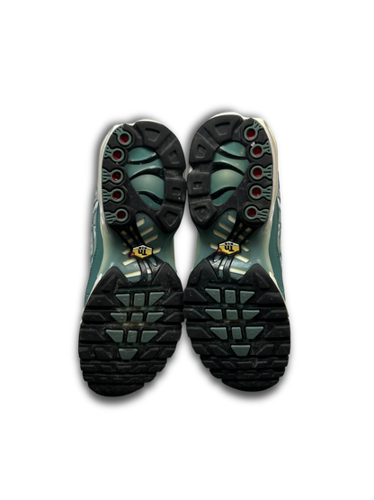 Nike Air Max Plus TN (45)