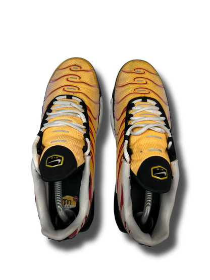 Nike Air Max Plus TN (44.5)