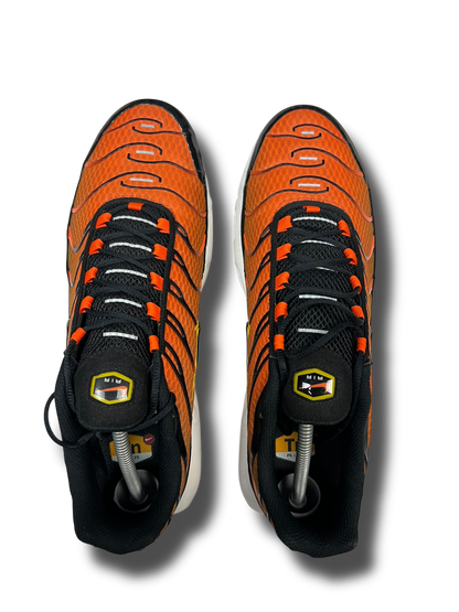 Nike Air Max Plus TN (46)