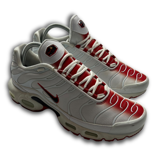 Nike Air Max Plus TN (43)
