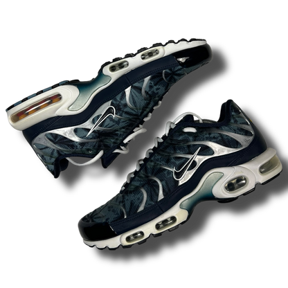Nike Air Max Plus TN (46)