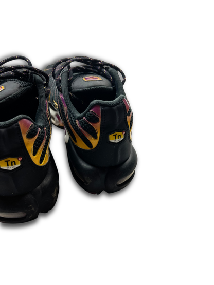 Nike Air Max Plus TN (44)