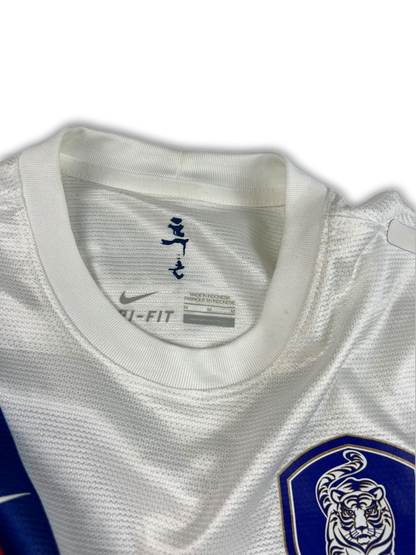 Nike South Korea Jersey (M)