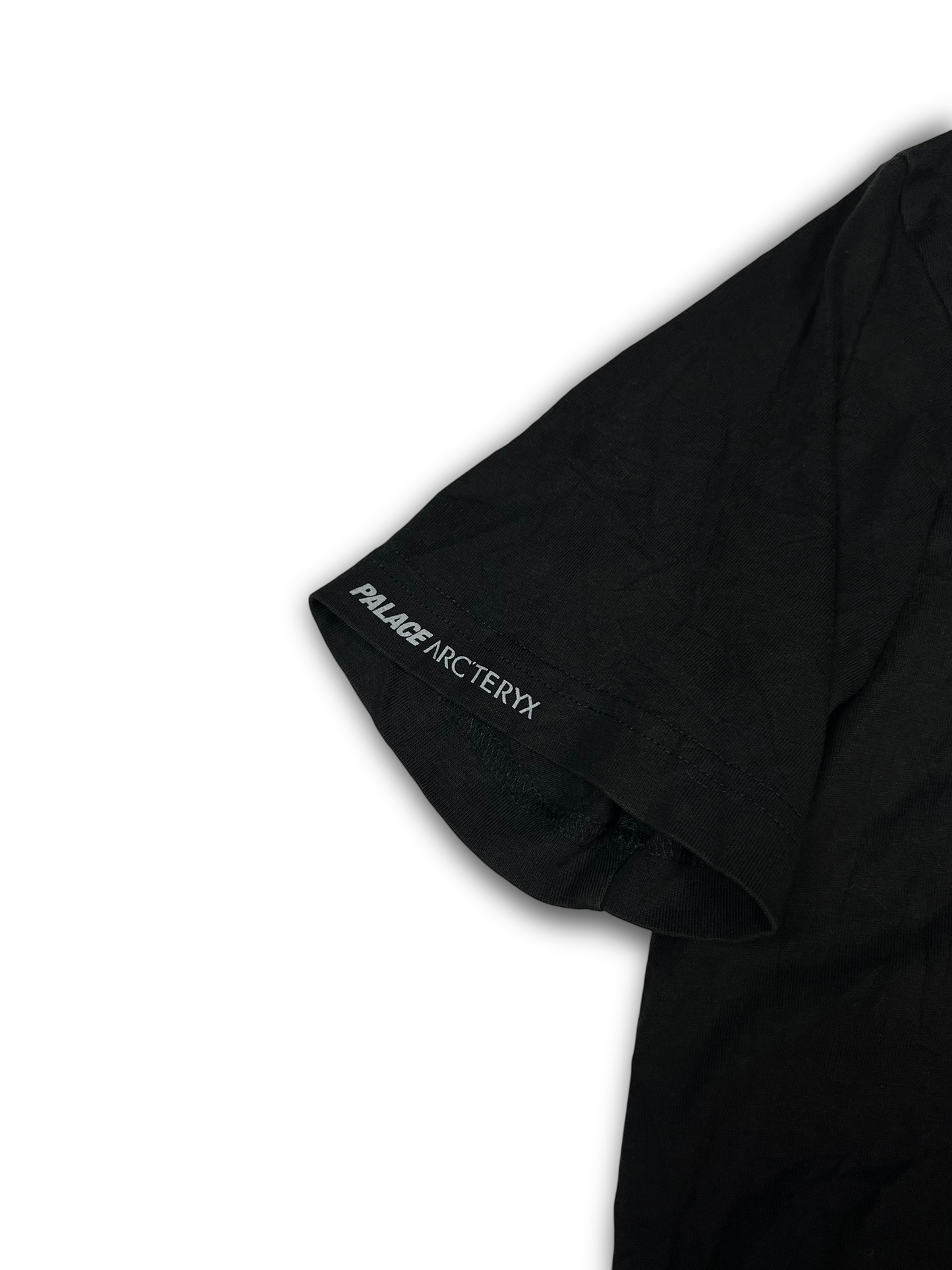 Arc‘teryx X Palace T-Shirt (S)