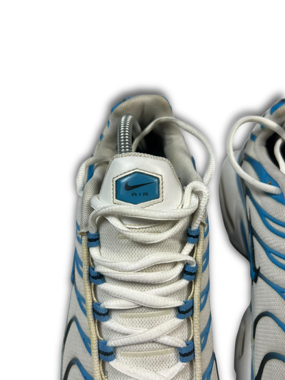 Nike Air Max Plus TN (45)