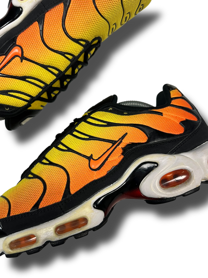 Nike Air Max Plus TN (45.5)