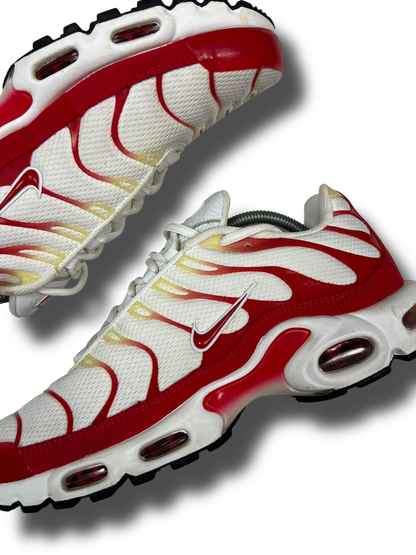 Nike Air Max Plus TN (45)