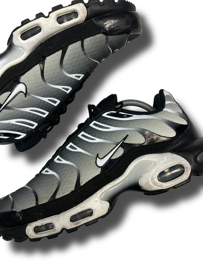 Nike Air Max Plus TN (44.5)