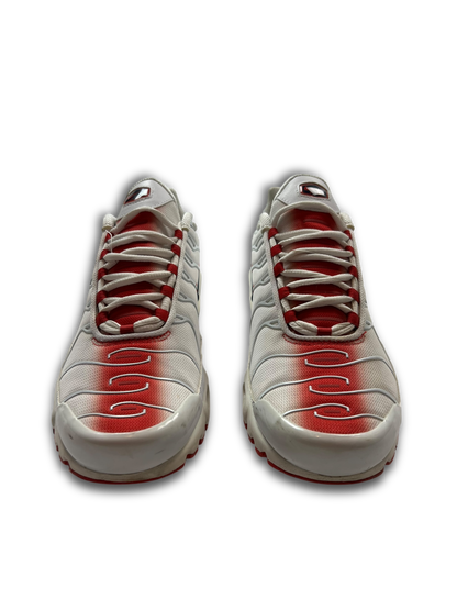 Nike Air Max Plus TN (43)