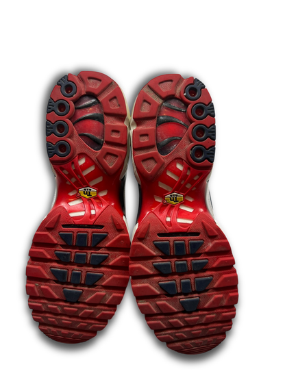 Nike Air Max Plus TN (43)