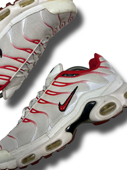 Nike Air Max Plus TN (45)