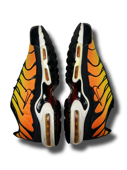 Nike Air Max Plus TN (45.5)