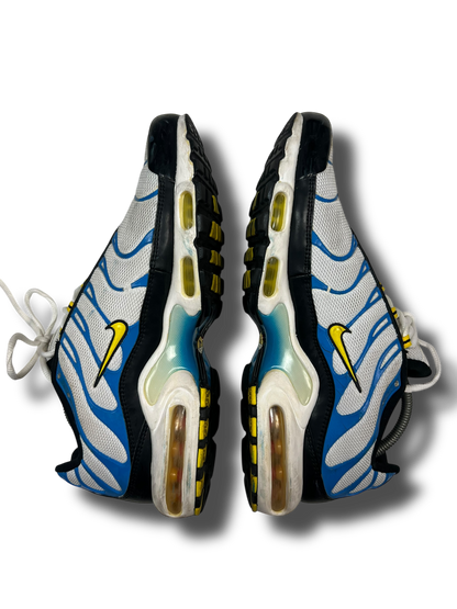 Nike Air Max Plus TN (45)