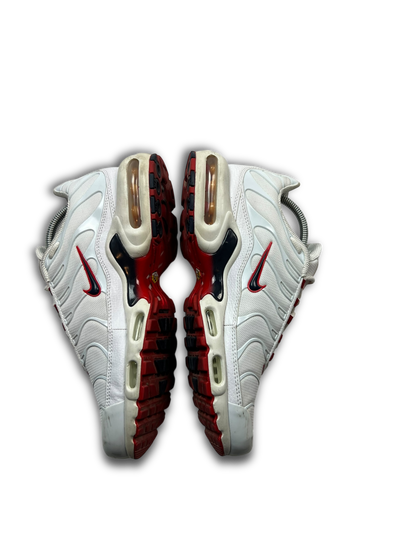 Nike Air Max Plus TN (43)