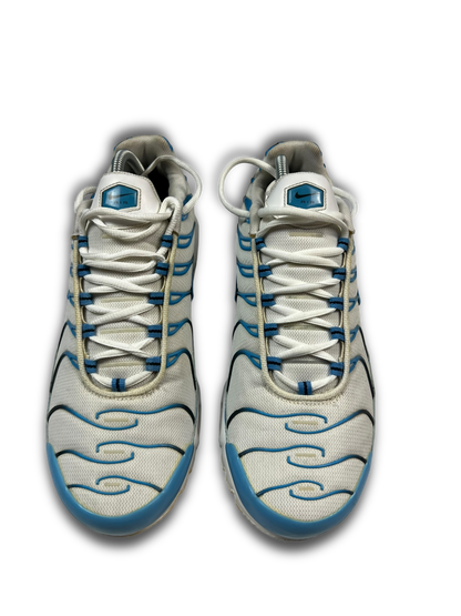 Nike Air Max Plus TN (45)