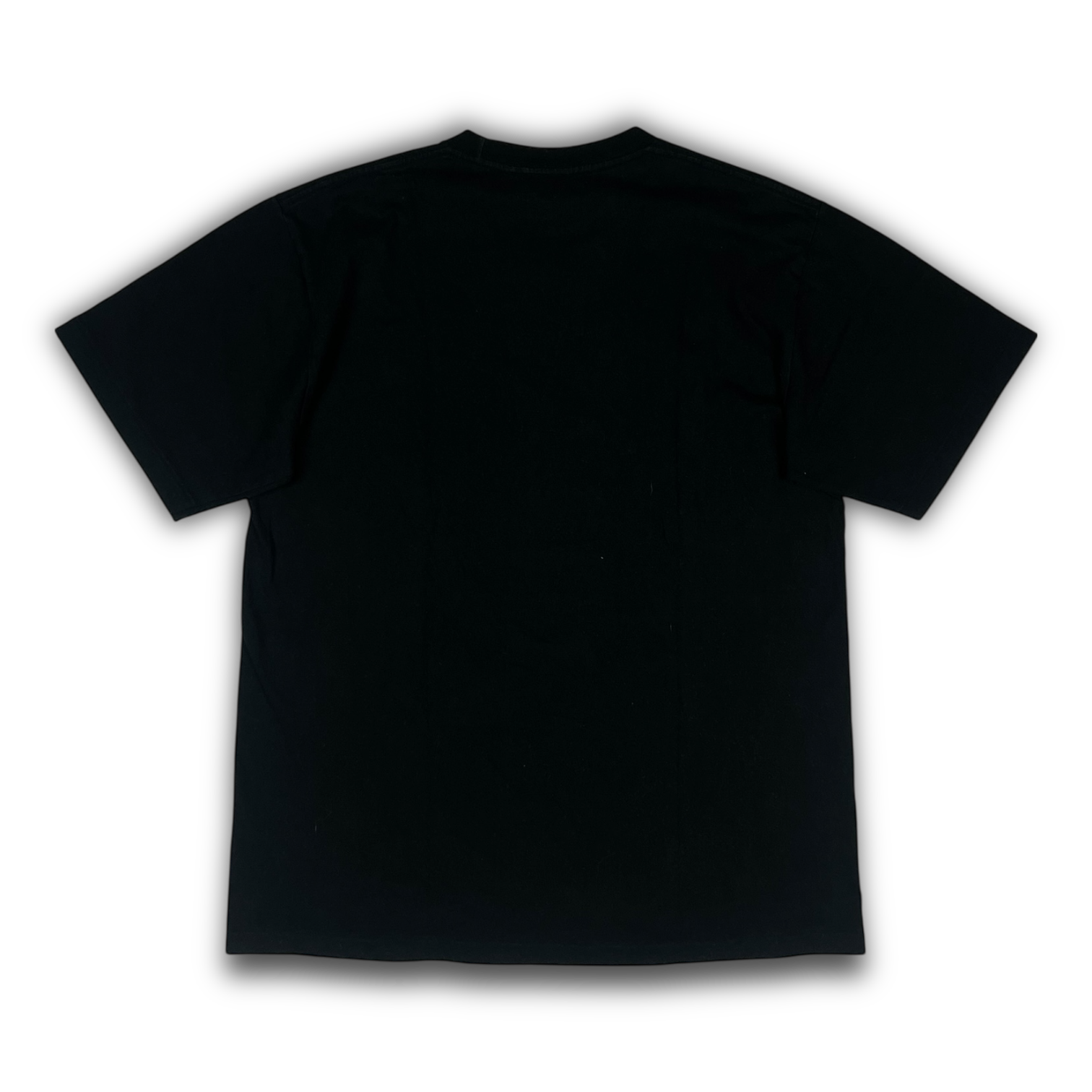 A Bathing Ape T-Shirt (L)