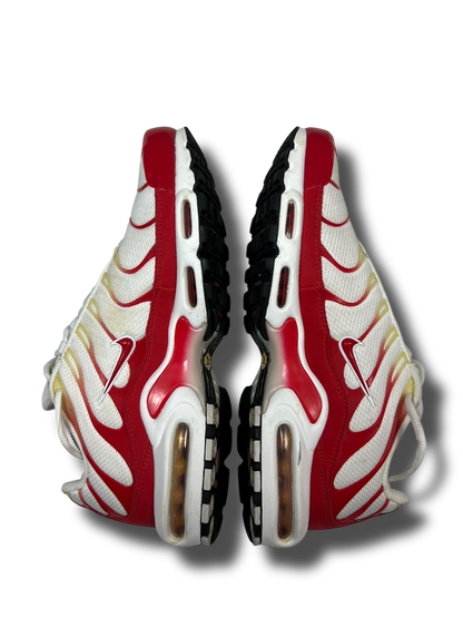 Nike Air Max Plus TN (45)