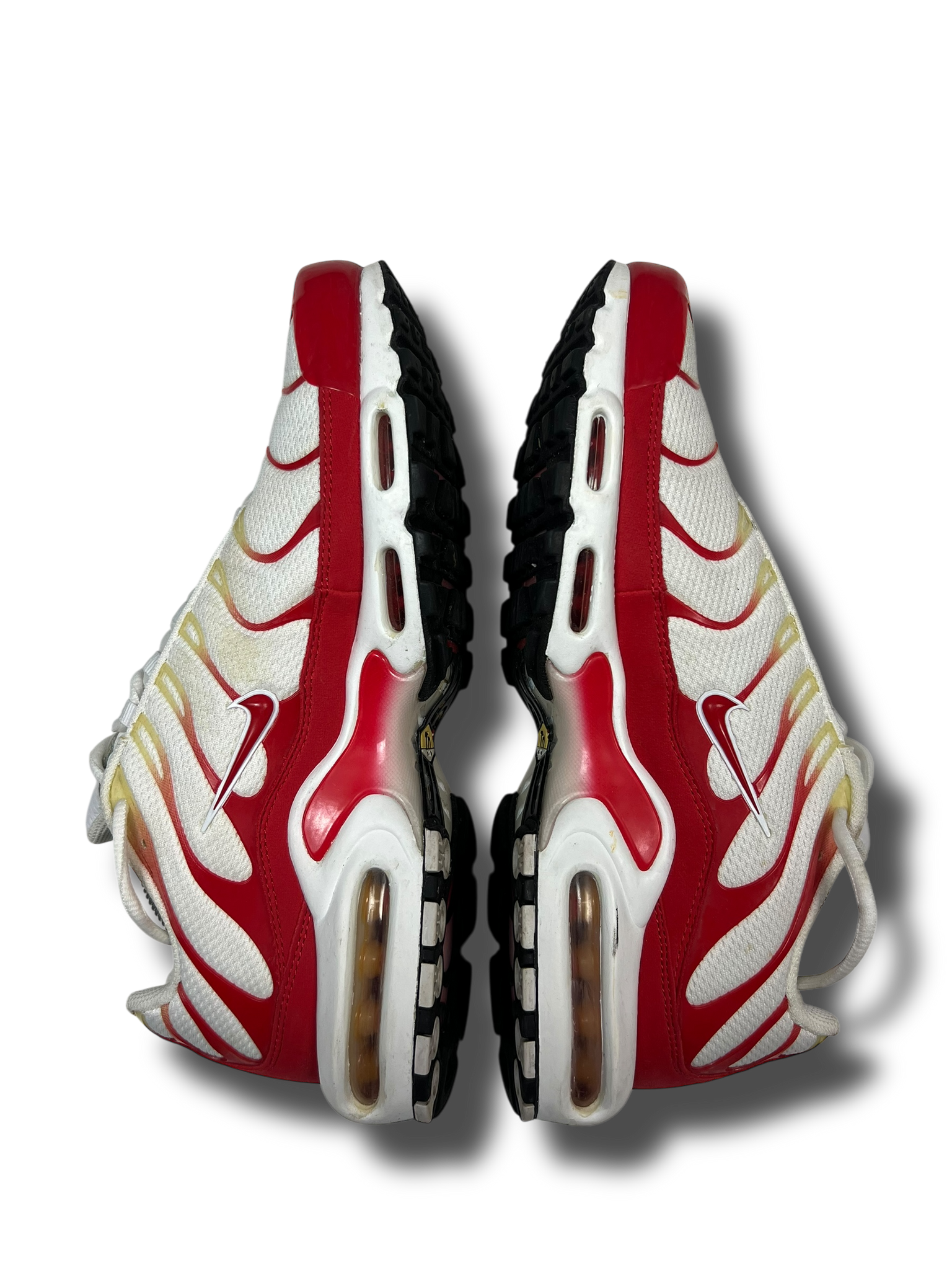 Nike Air Max Plus TN (45)