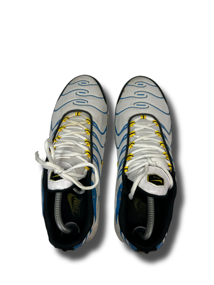 Nike Air Max Plus TN (45)
