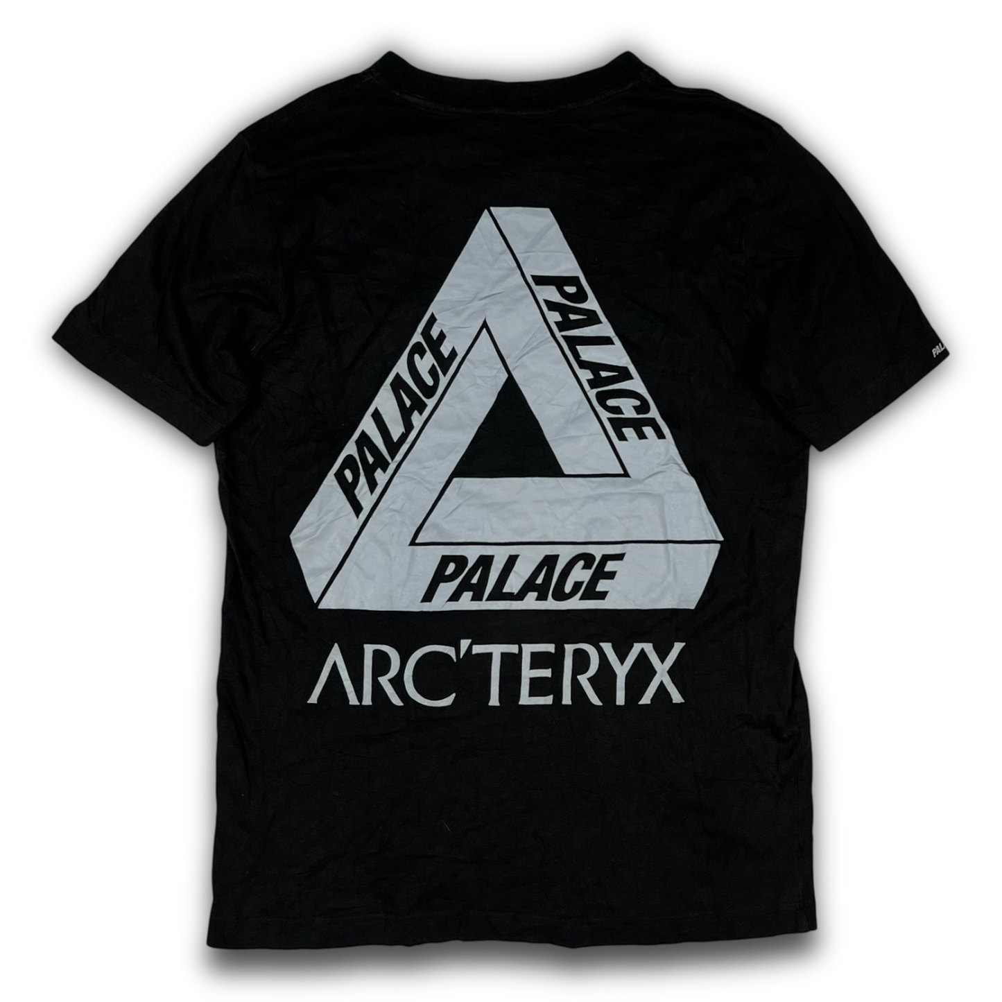 Arc‘teryx X Palace T-Shirt (S)