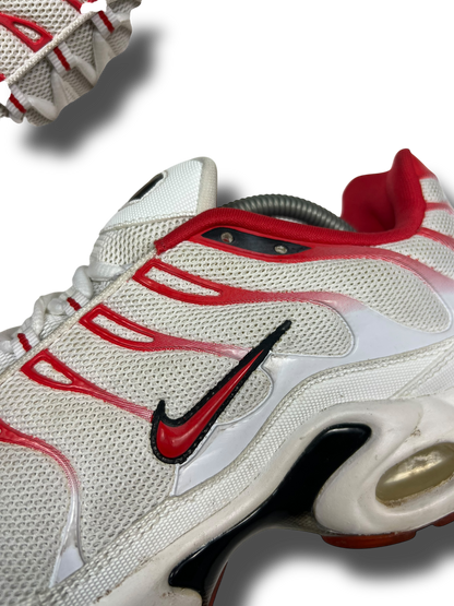 Nike Air Max Plus TN (45)