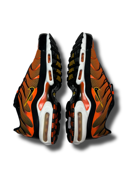 Nike Air Max Plus TN (46)