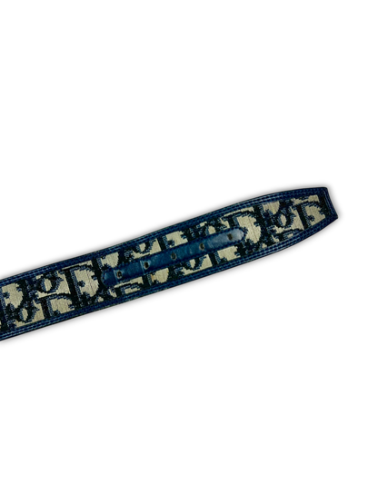 Dior Belt (70)
