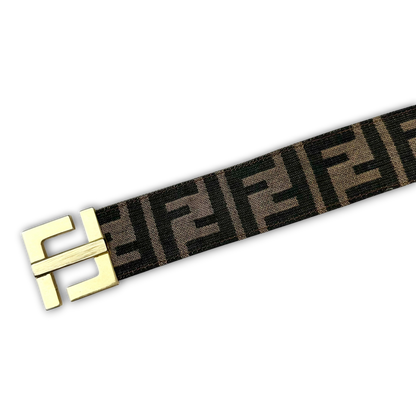 Fendi Belt (85)